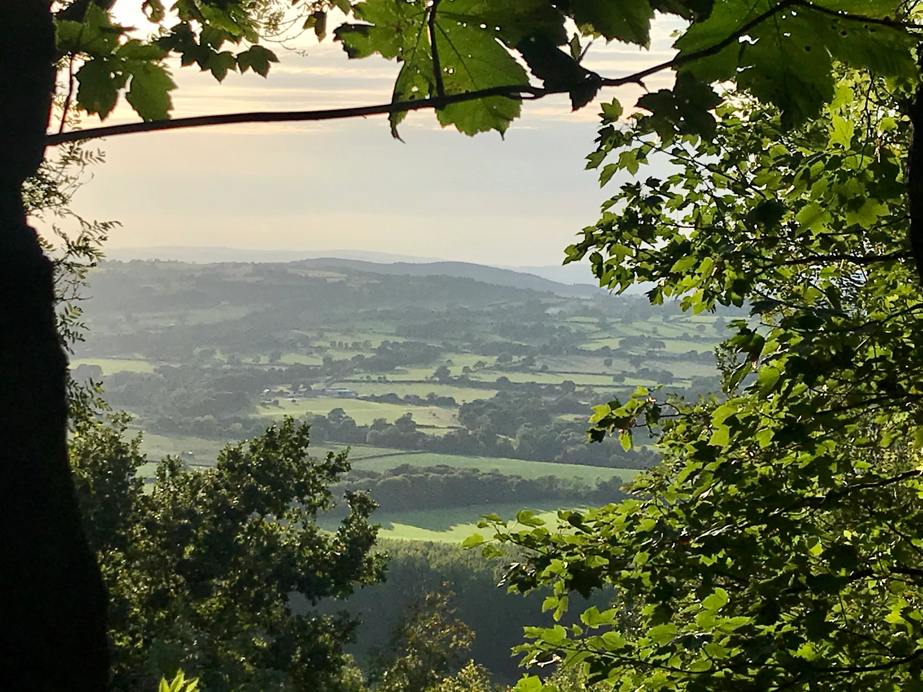 Welcome to Our Store